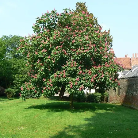 Holbecks House B&B-3